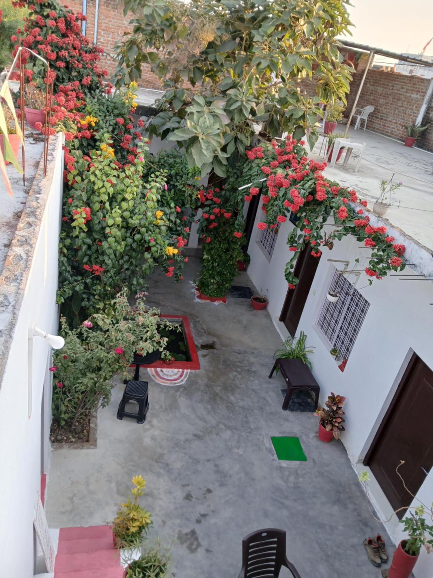 Homestay The Highvill